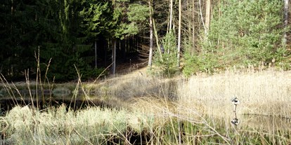 Wasserprojekt - Moorprojekte: Moorrenaturierung - Wunderlichs Moor - Moorerhaltung nördlich von Berlin - Liepnitzsee