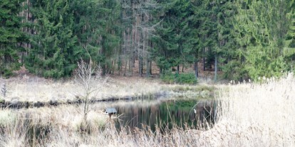 Wasserprojekt - Trinkwasserschutz: Trinkwasserschutz - Wunderlichs Moor - Moorerhaltung nördlich von Berlin - Liepnitzsee