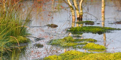 Wasserprojekt - Klimaschutz: Wasserschutzprojekte - Moorschutzprogramm Baden-Württemberg 