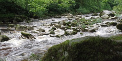 Wasserprojekt - Gewässerschutz: Fließgewässerschutz - Fließgewässerschutz Baden Würtenberg