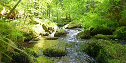 Wasserprojekt - Gewässerschutz: Fließgewässerschutz - Baden Würtenberg Filme Wasserschutz