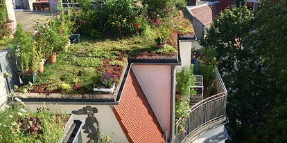 Wasserprojekt - Brandenburg Süd - GründachPLUS – Berlins Förderprogramm für mehr Dachbegrünung